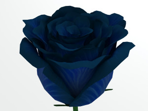 rose blue 3D Модель