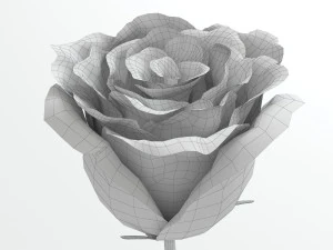 rose blue 3D Model