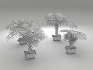 palm tree Model 3D