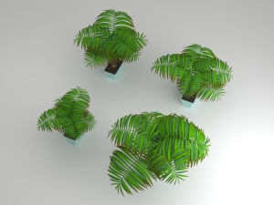 palm tree Model 3D
