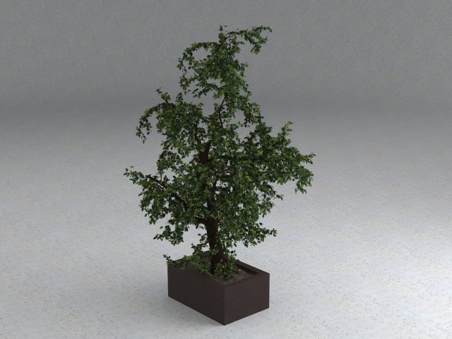 tree 01 Modello 3D .c4d .max .obj .3ds .fbx .stl .blend 