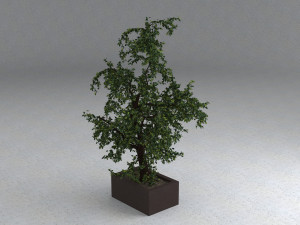 tree 01 3D Модель