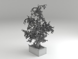 tree 01 Modello 3D