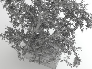 tree 01 Modello 3D