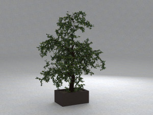 tree 01 Modello 3D