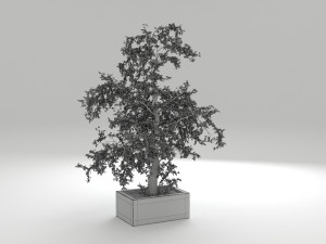 tree 01 Modello 3D