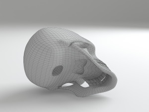 cranium Modèle 3D