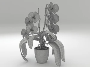 orqu&iacute;dea branca Modelo 3D