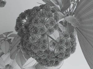 composizione di fiori 01 Modello 3D