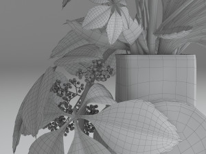flowers composition 01 3D Model
