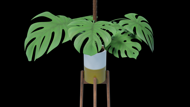 Flower in pot 01 3D 模型 .c4d .max .obj .3ds .fbx .stl .blend 