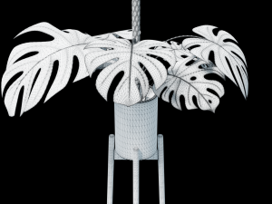 Flower in pot 01 3D 模型