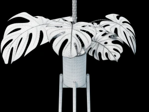Flower in pot 01 3D Model