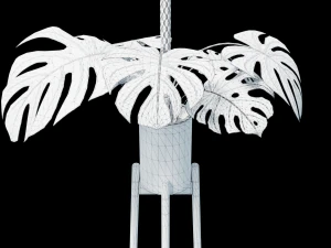 Flower in pot 01 3D Model
