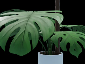 Flower in pot 01 3D Model