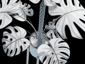 Flower in pot 01 3D 模型