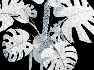 Flower in pot 01 3D 模型