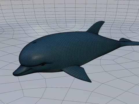 Delfin Model 3D