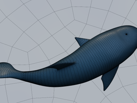 Dolphine 3Dモデル