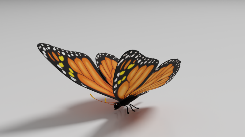 Butterfly 1 3D Model .c4d .max .obj .3ds .fbx .stl .blend