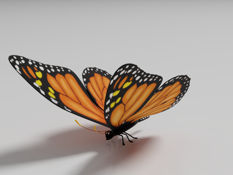 Butterfly 1 3D Модель