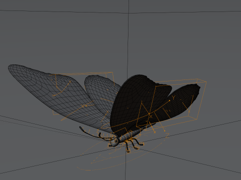 Butterfly 1 3D Model