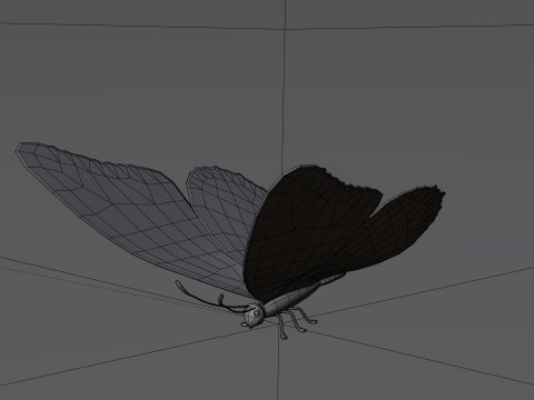 Butterfly 1 3D Model