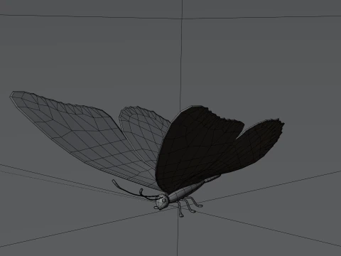 Butterfly 1 3D Model