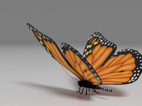 Butterfly 1 3D Model