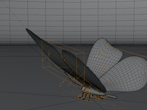 Butterfly 1 3D Model