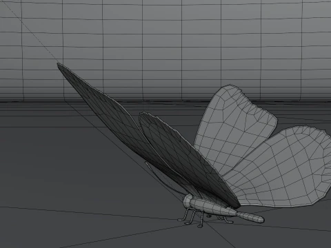 Butterfly 1 3D Model