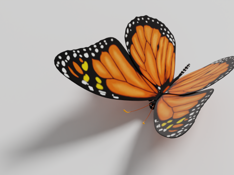Butterfly 1 3D Model