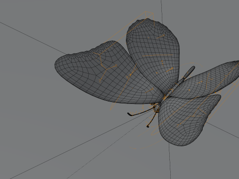 Butterfly 1 3D Model