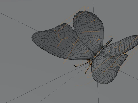 Butterfly 1 3D Model