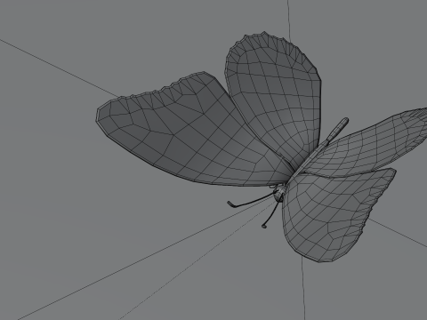 Butterfly 1 3D Model