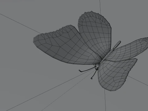 Butterfly 1 3D Model