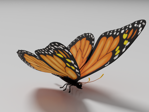 Butterfly 1 3D Model