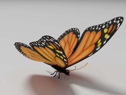 Butterfly 1 3D Model