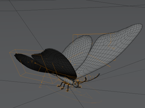 Butterfly 1 3D Model