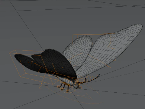 Butterfly 1 3D Model