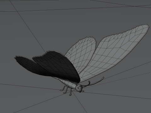 Butterfly 1 3D Model