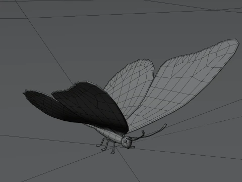 Butterfly 1 3D Model