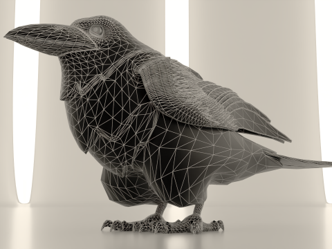 Bird Crow Modelo 3D