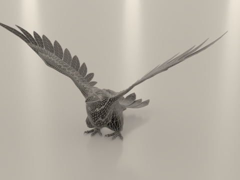 Bird Crow Modelo 3D
