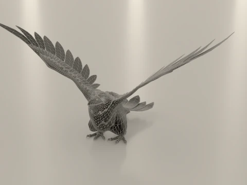 P&aacute;ssaro Corvo Modelo 3D