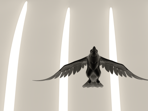 Bird Crow Modelo 3D