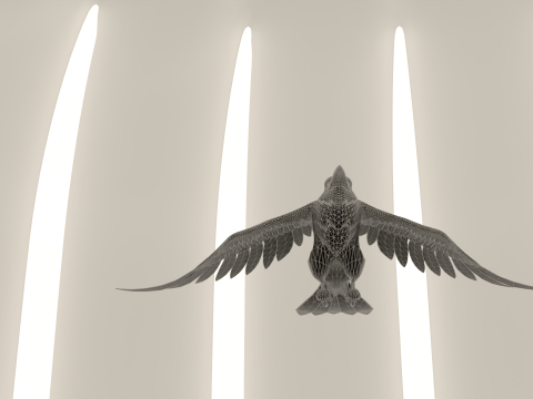 Bird Crow Modelo 3D