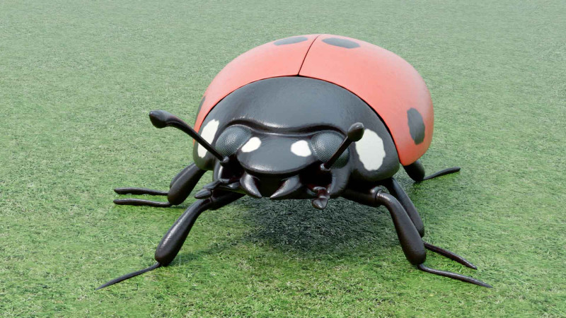 Ladybug stylized Modèle 3D .c4d .max .obj .3ds .fbx .stl .blend 