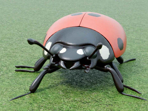 程式化的瓢虫 3D 模型