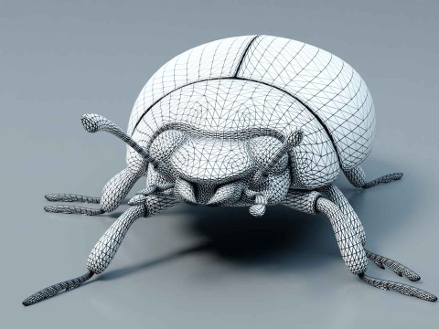 Ladybug stylized Modèle 3D